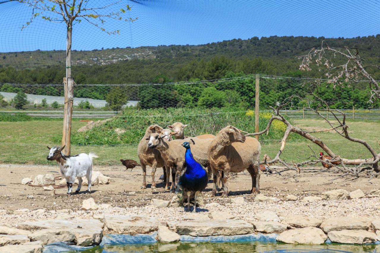 דירות גורדס Lou Mas Li Pitchoun "Le Grenier" מראה חיצוני תמונה